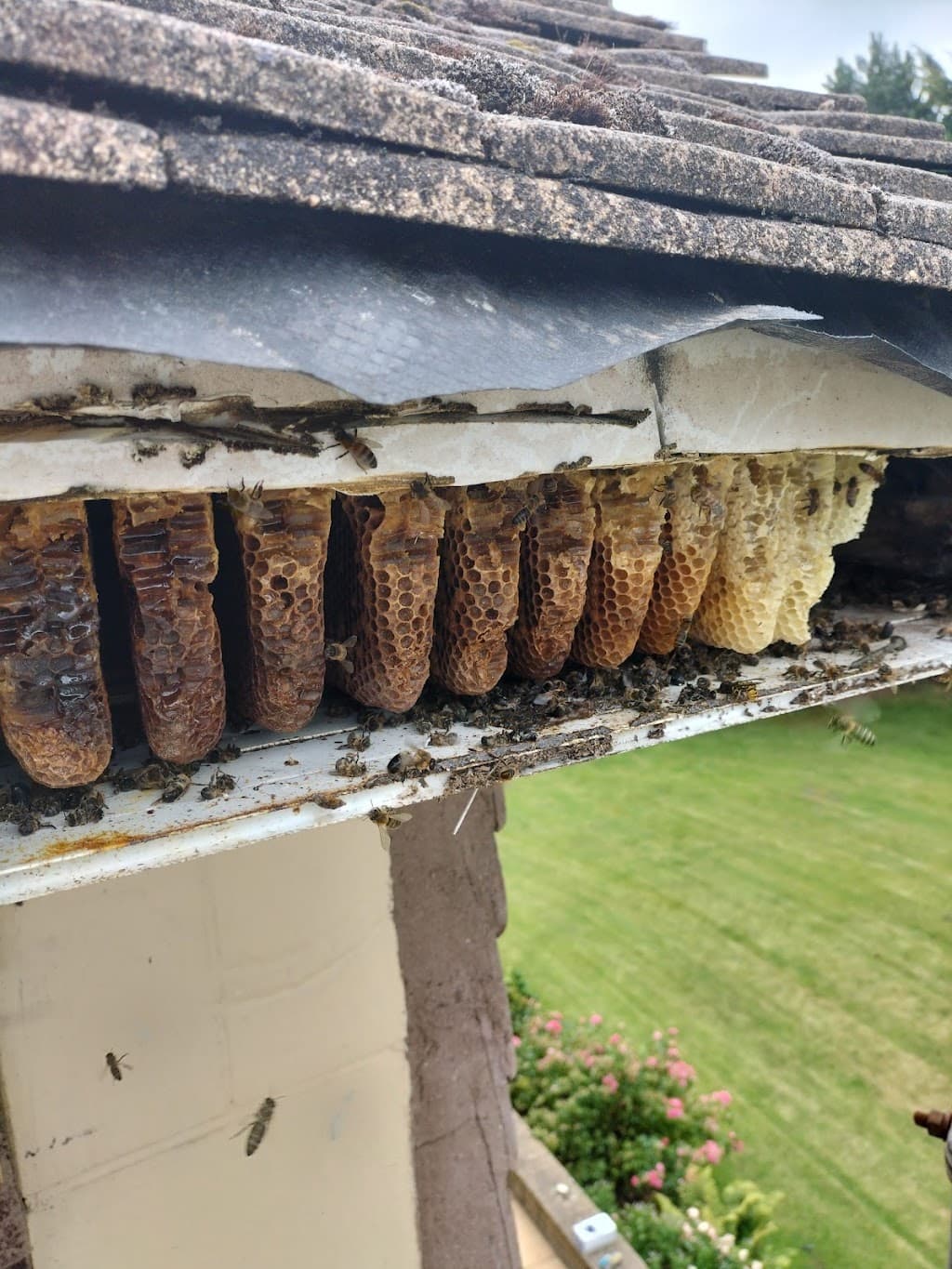 Titan Pest Control Cardiff