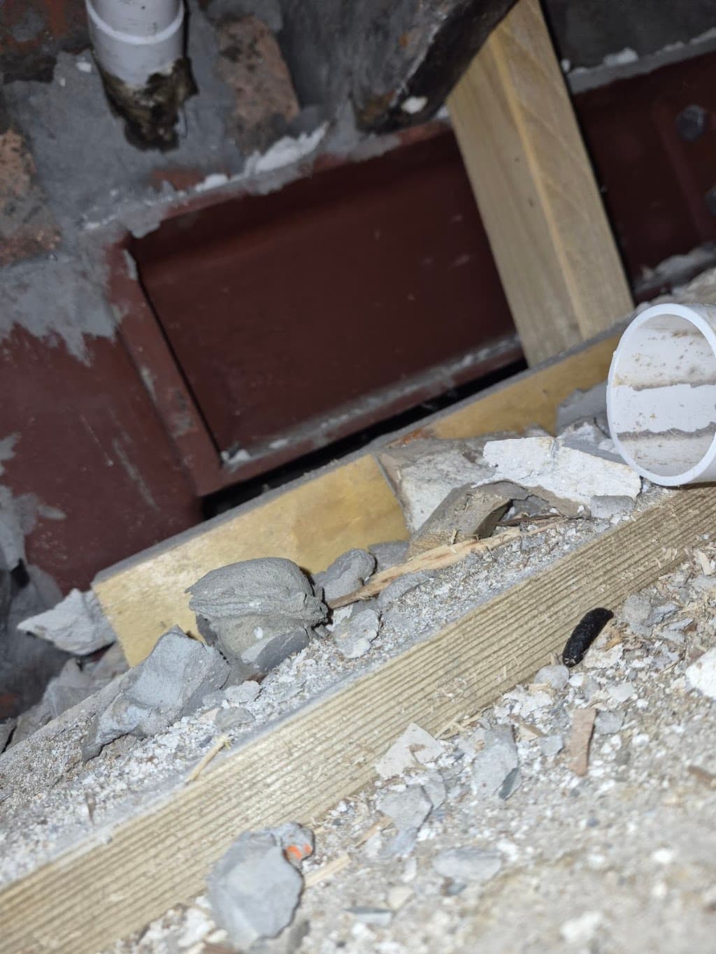 BC Pest Solutions Glasgow