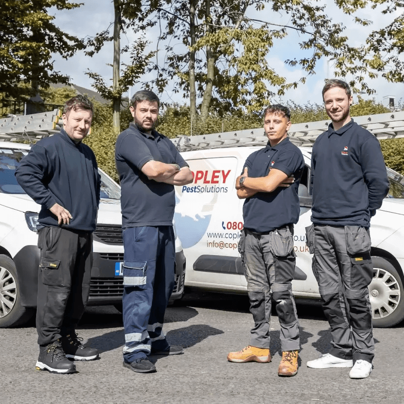 Copley Pest Solutions UK