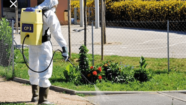 Flashback Pest Control