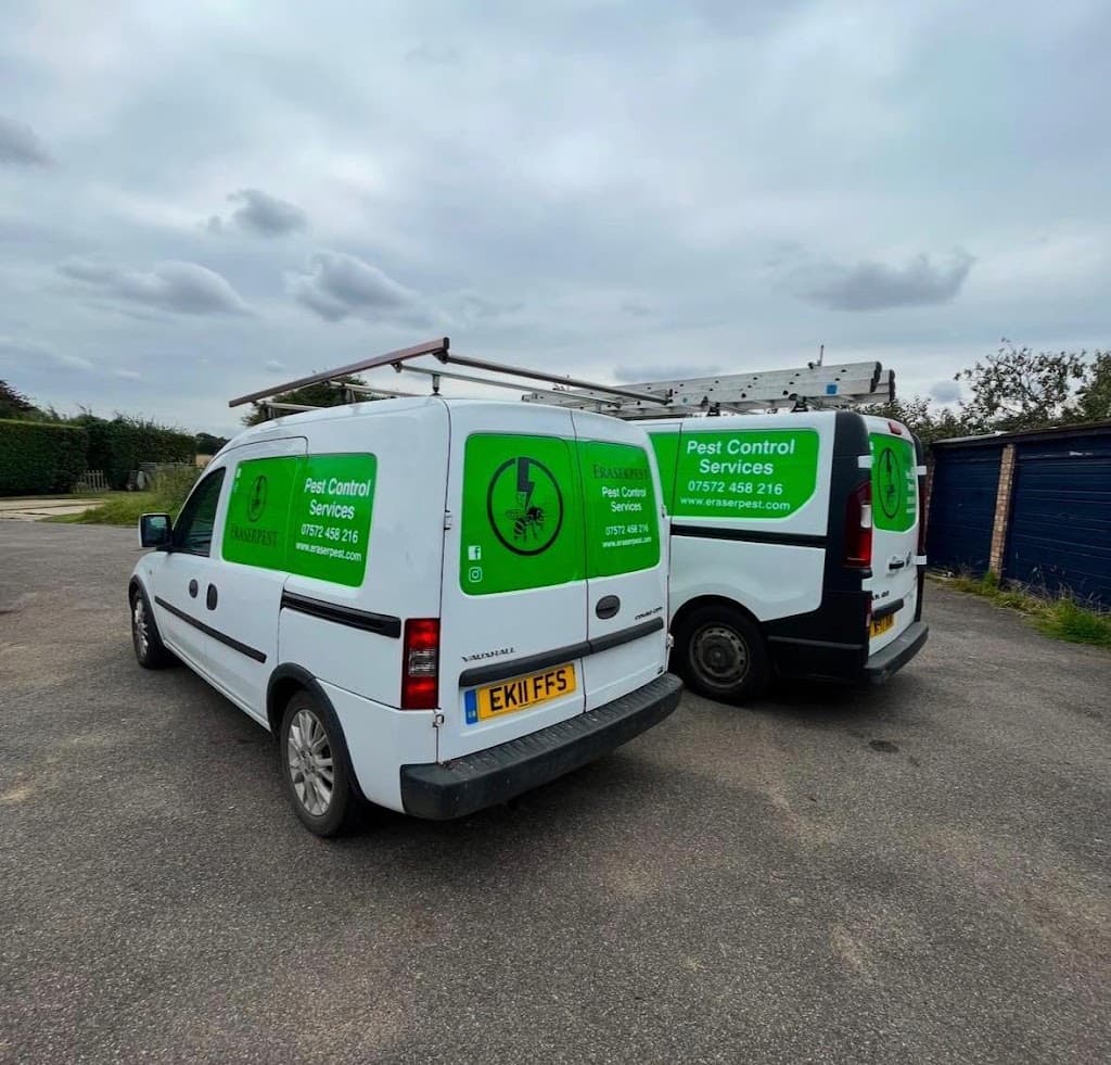 Eraserpest Pest Control and Wasp nest removal