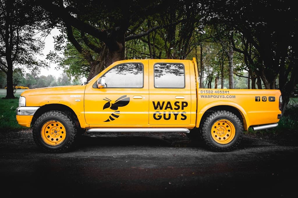 Wasp Guys