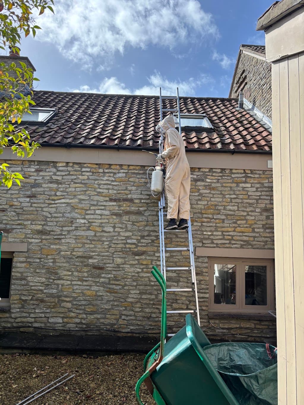 Action Force Pest Control