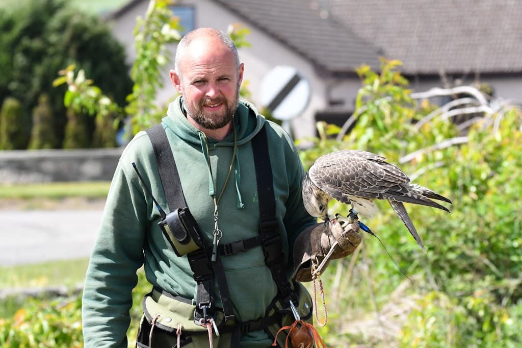 Highland Bird Control Services