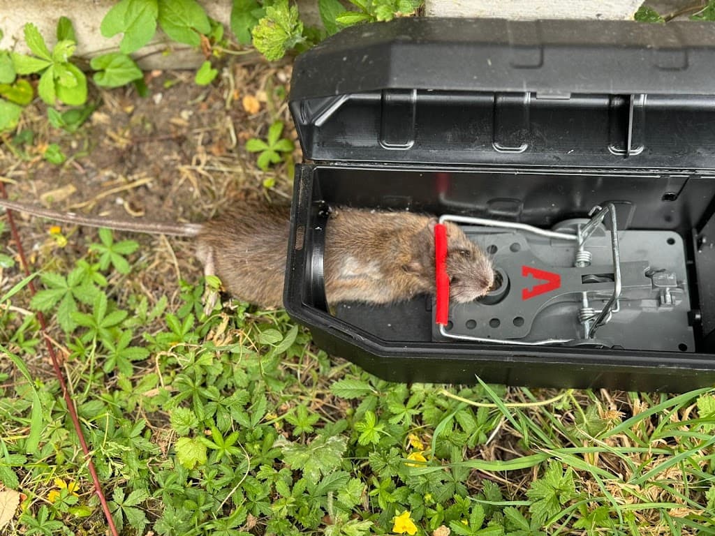 Carters Pest Control