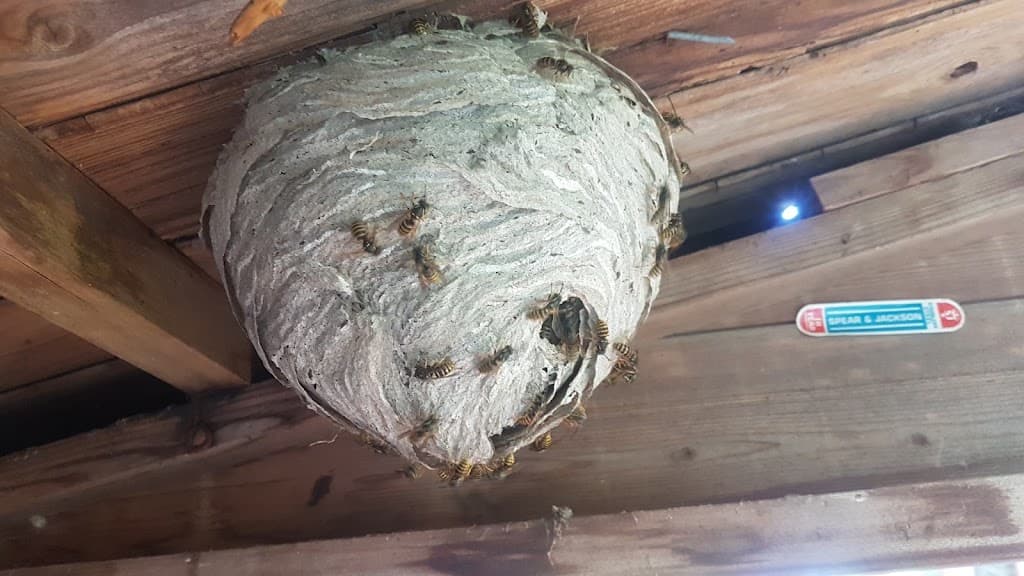 Jones Pest Control