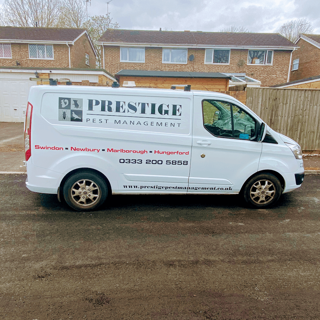 Prestige Pest Management