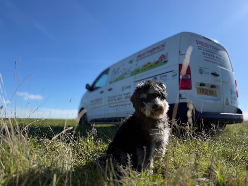Pestforce Pest Control Cardiff