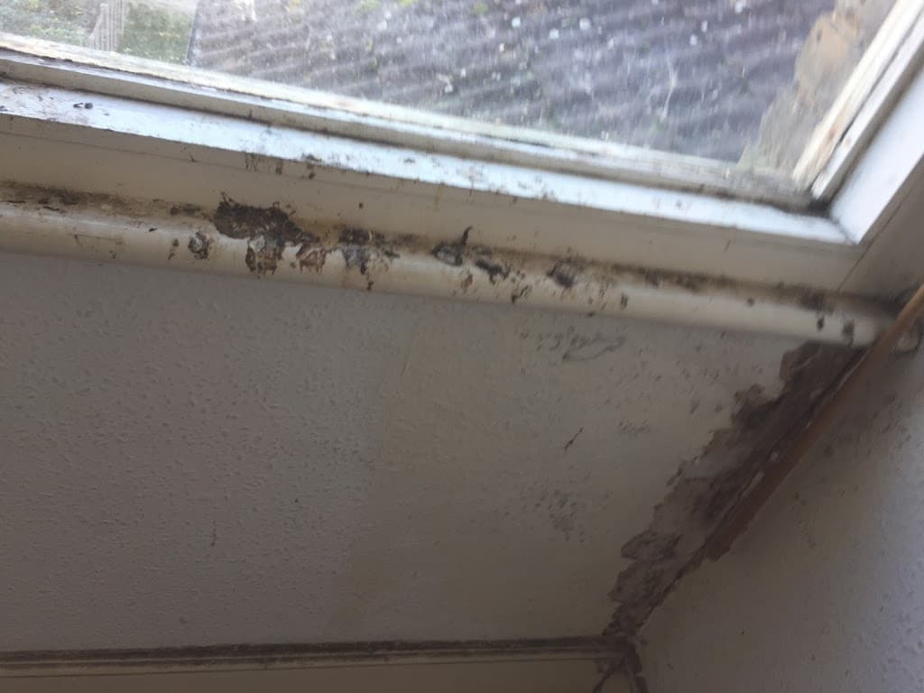 Day2Day Pest Control 24/7