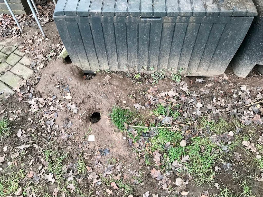 Special Pest Services Walsall