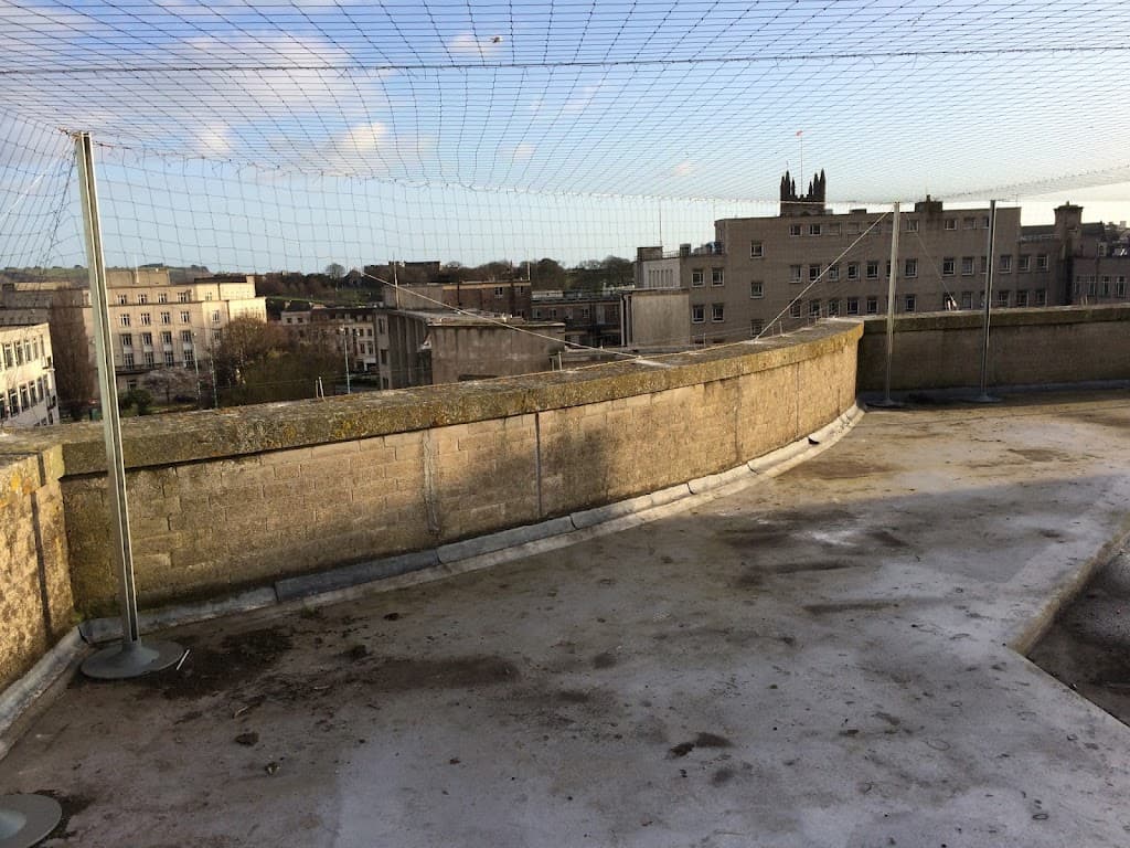 Bird Proofing UK