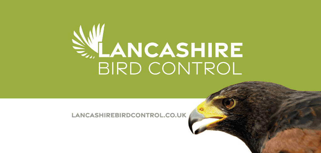 Lancashire Bird Control