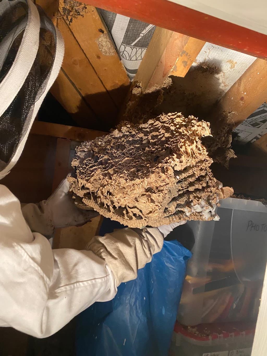 Termipest Pest Control