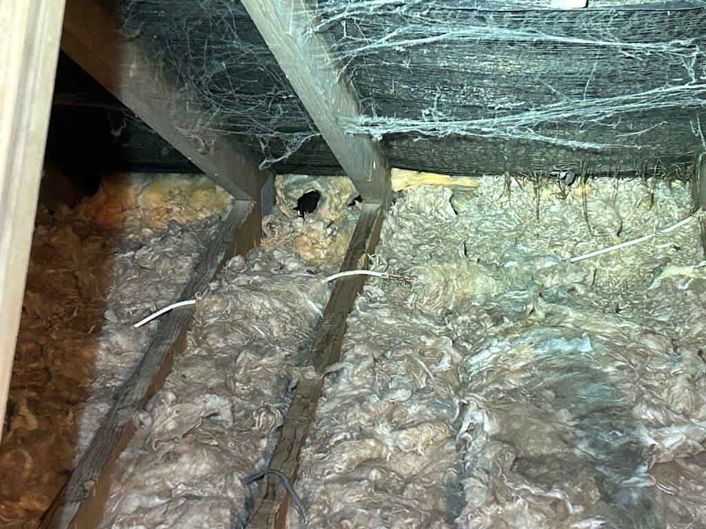 West Pest Solutions Ltd