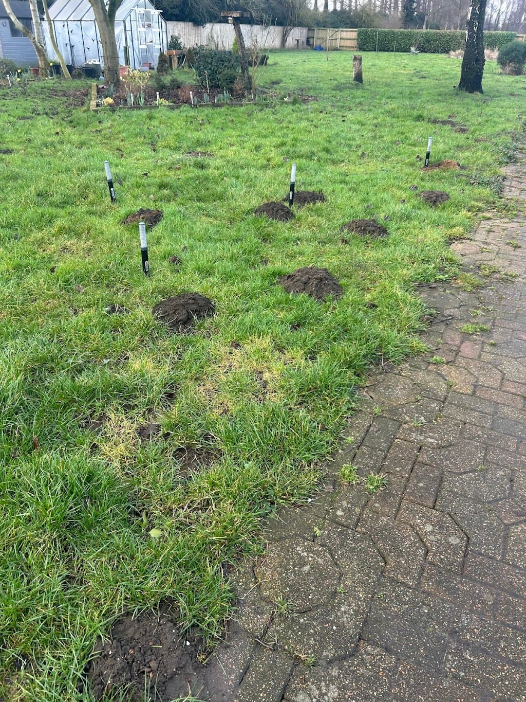 D&G Pest Control Scunthorpe