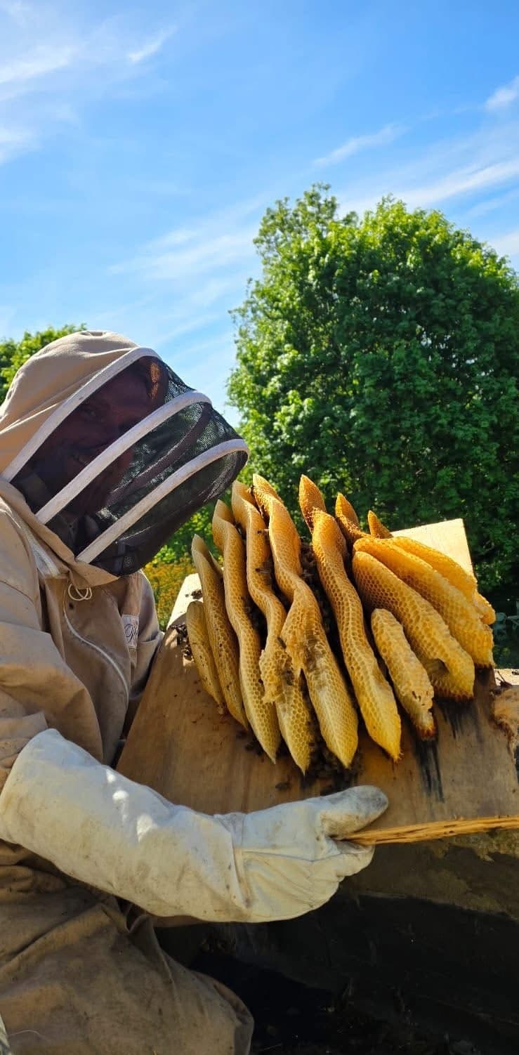 Suffolk Busy Bees Ltd