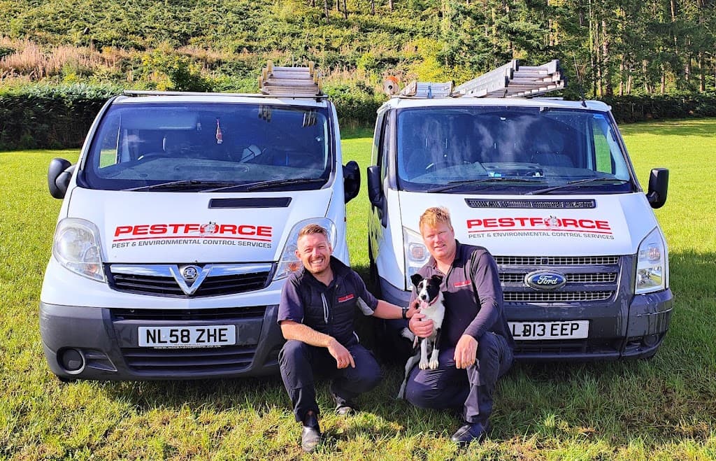 Pestforce Pest Control Swansea