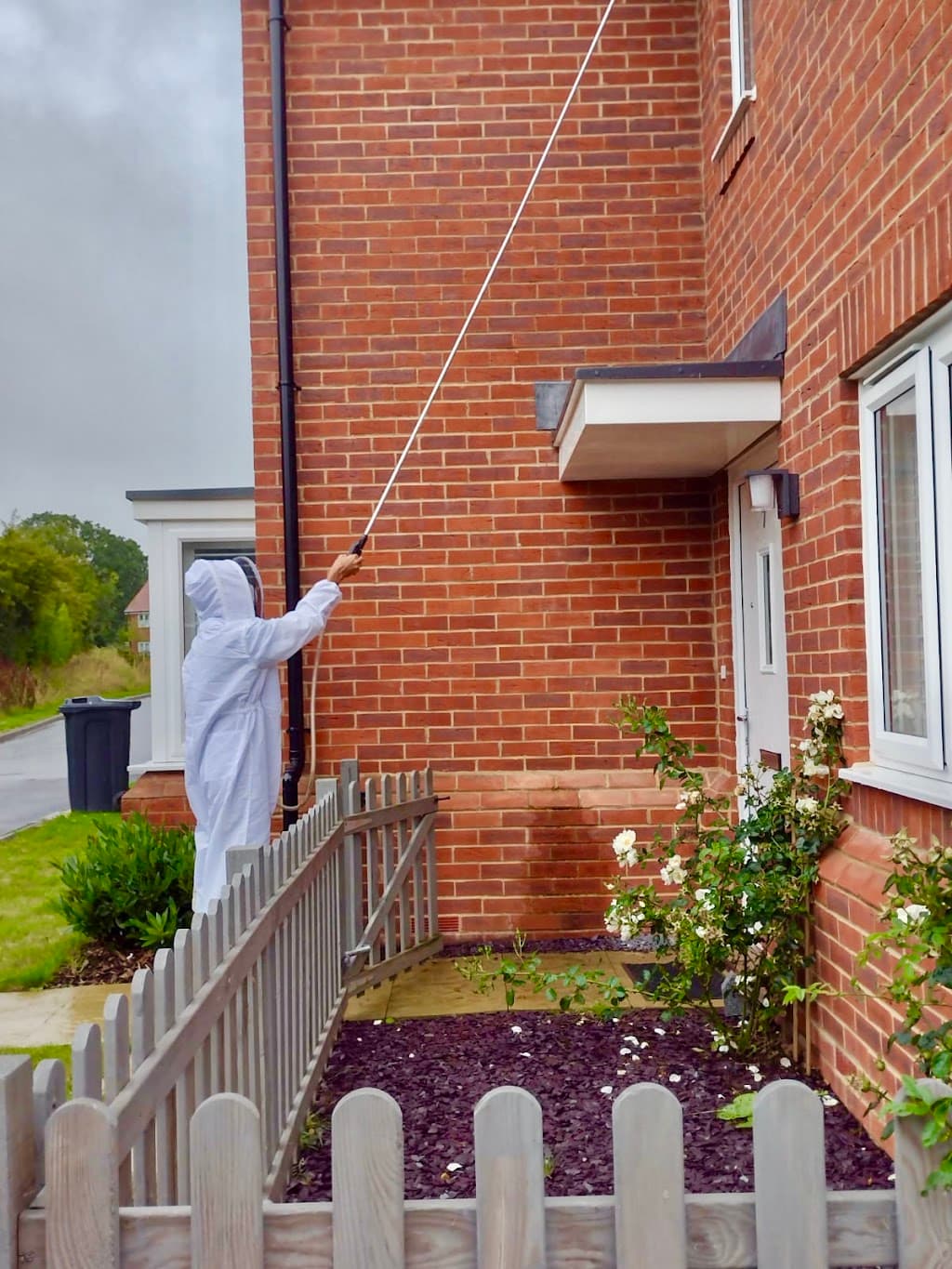 Wasp Control