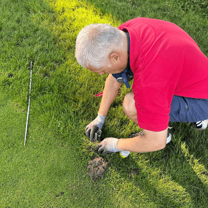 Killpest Pest Control Services