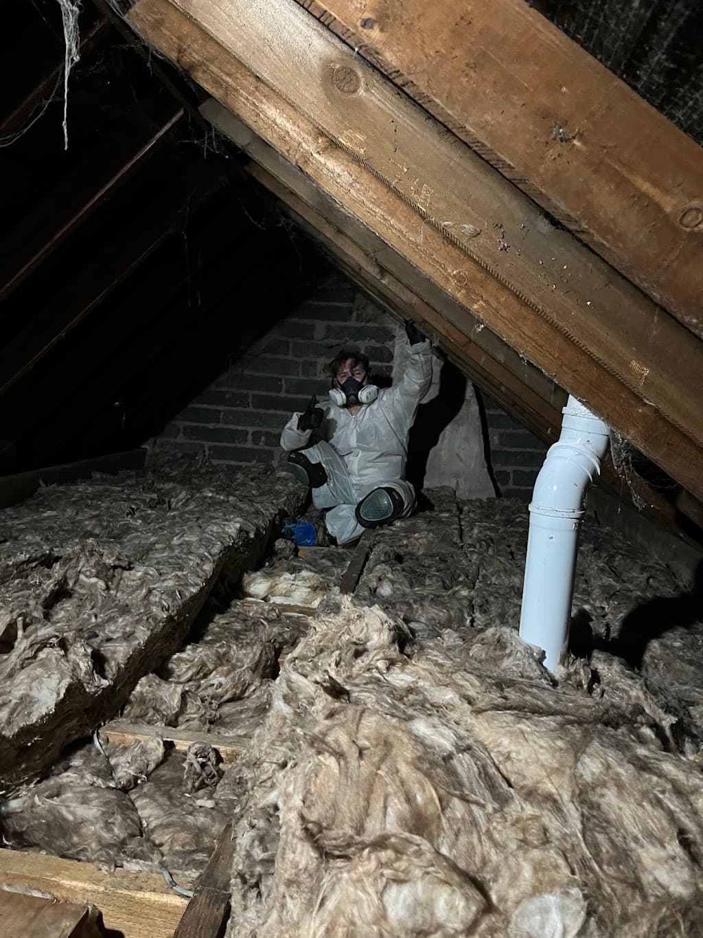 AJL Pest Solutions