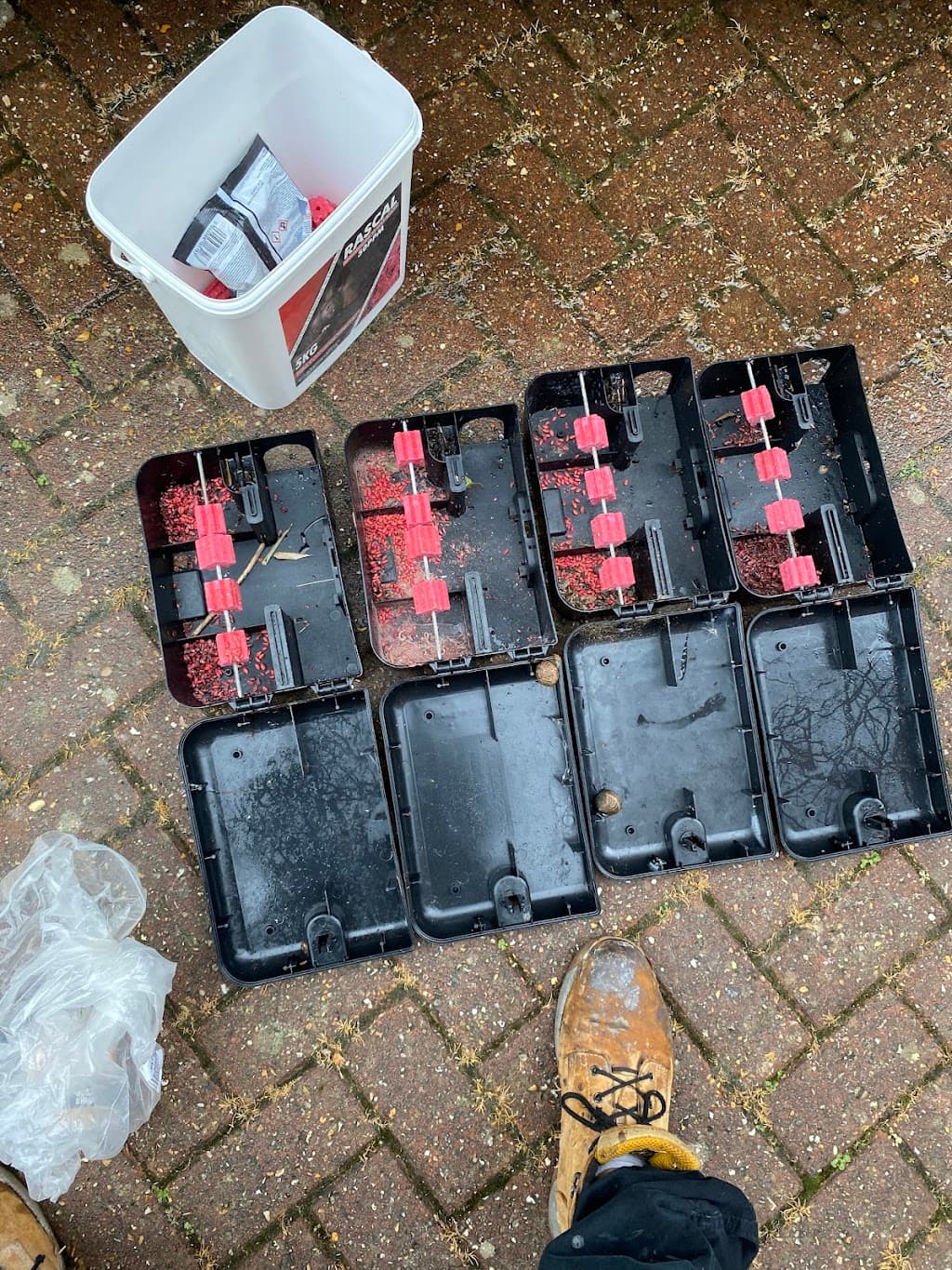 L&C Pest Control