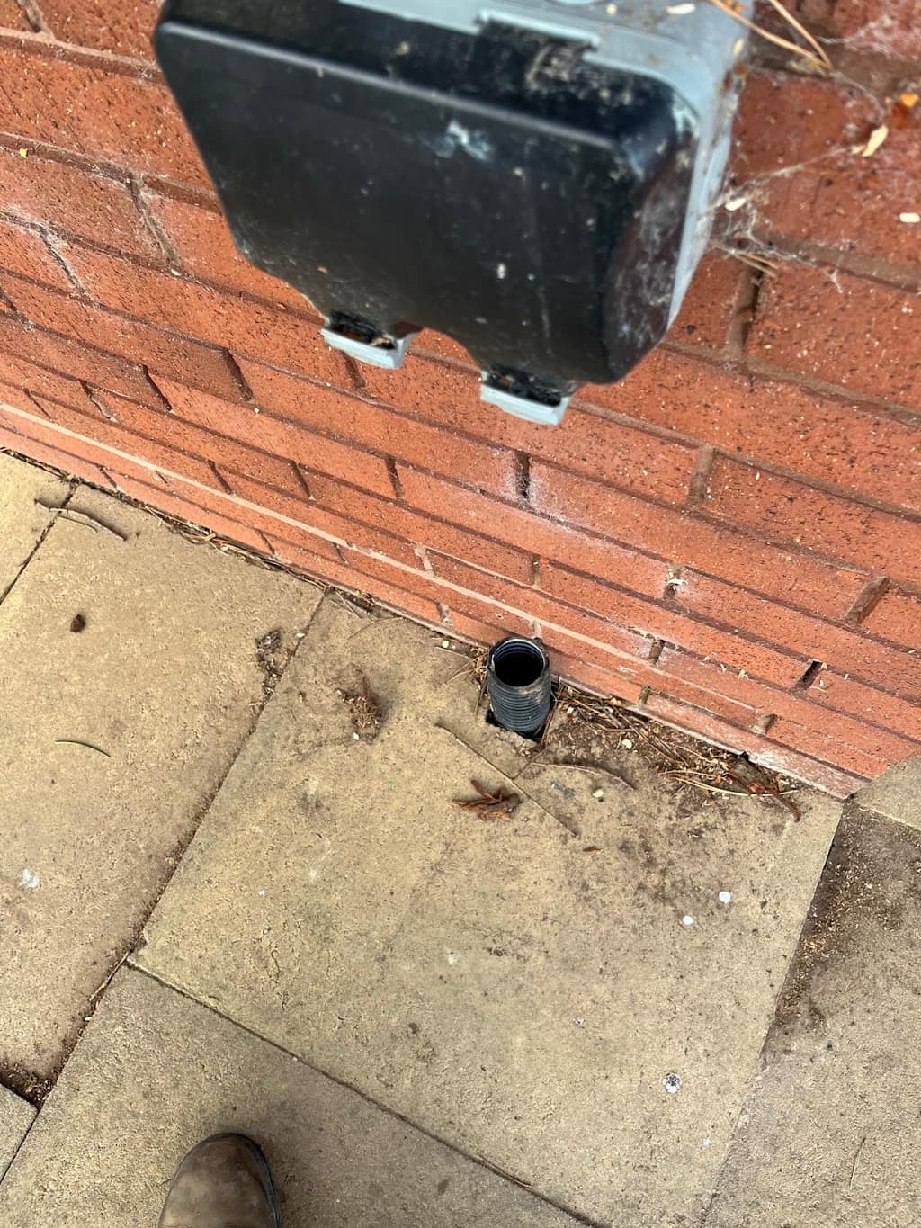 AMS Pest Control Coventry