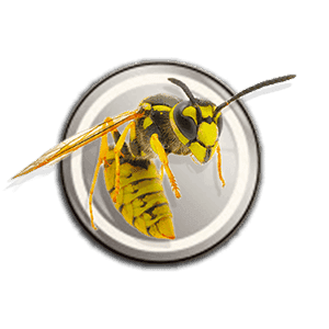 Wasptec Pest Control