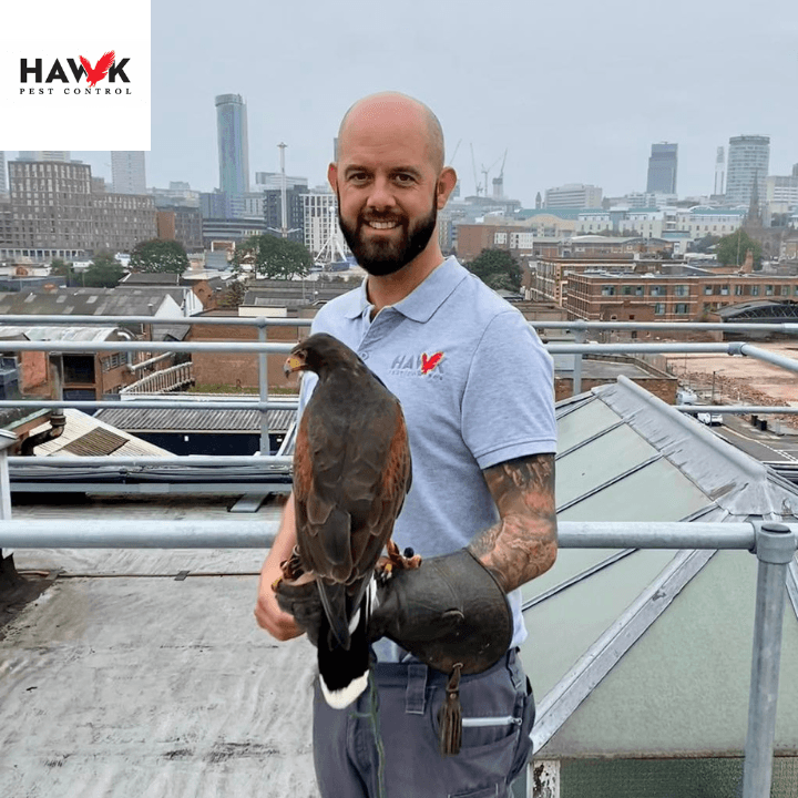Hawk Pest Control