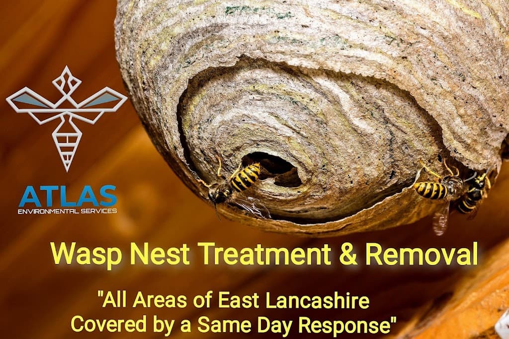 Atlas Environmental Services Ltd