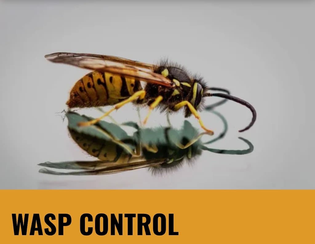 Yorkshire Dales Pest Control Ltd