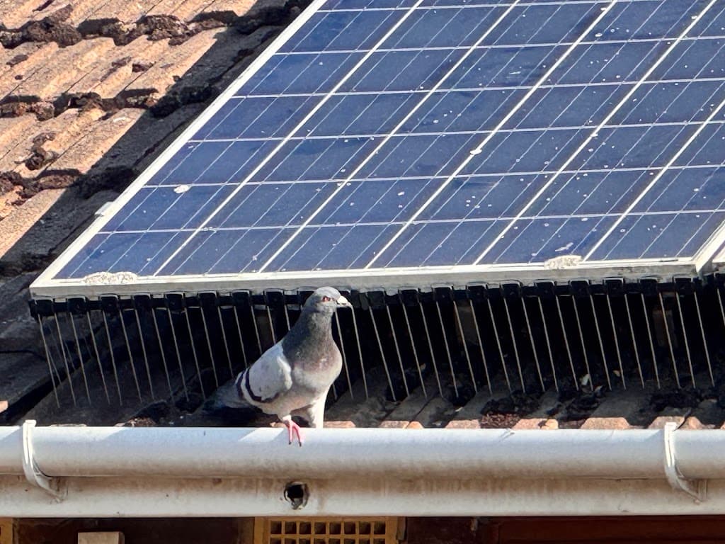 Reading Pest Controllers Ltd