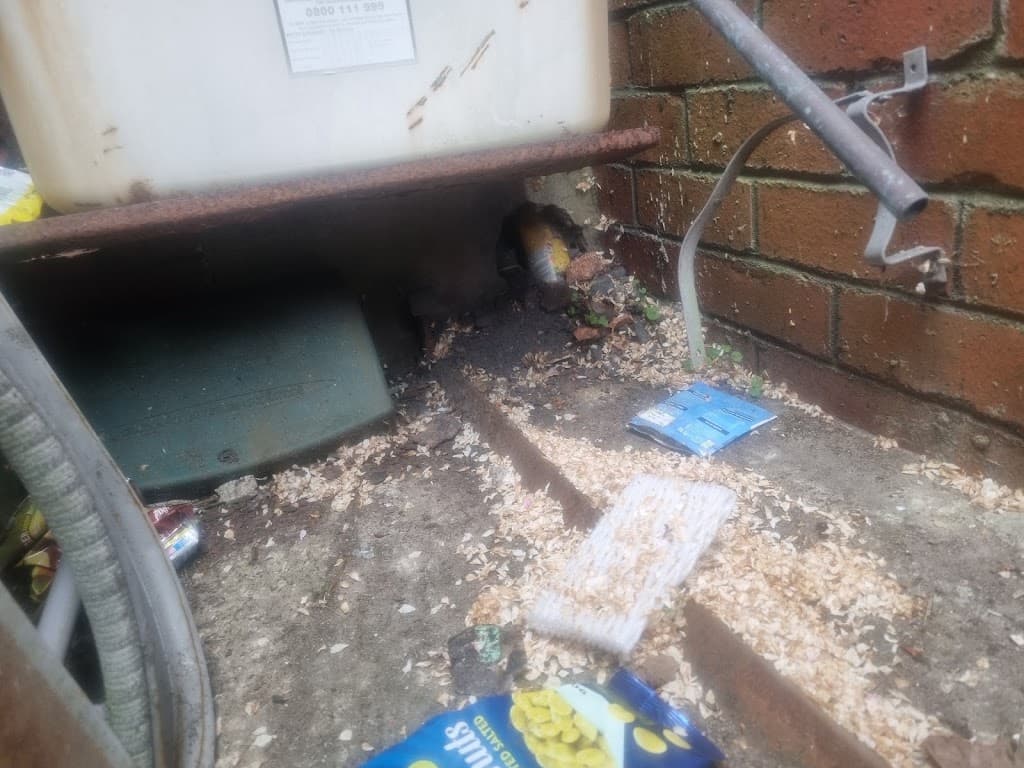 Welsh town and country pest services