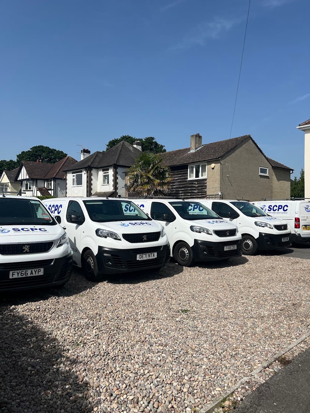 South Coast Pest Control
