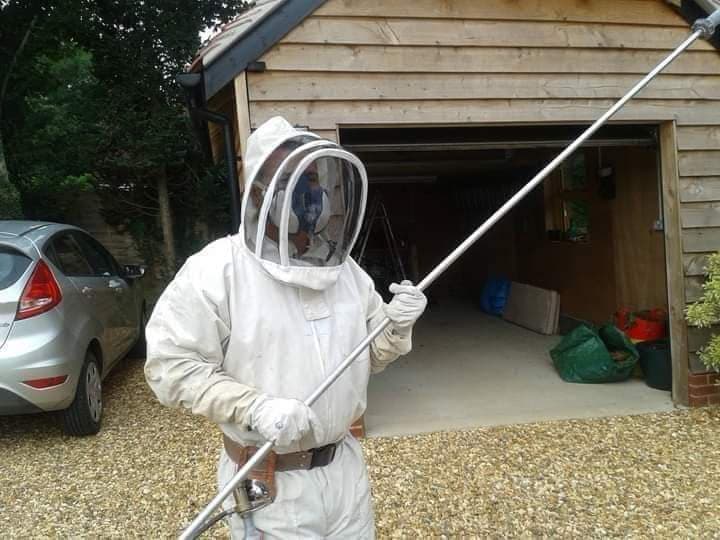 Coast 2 Coast Pest Control