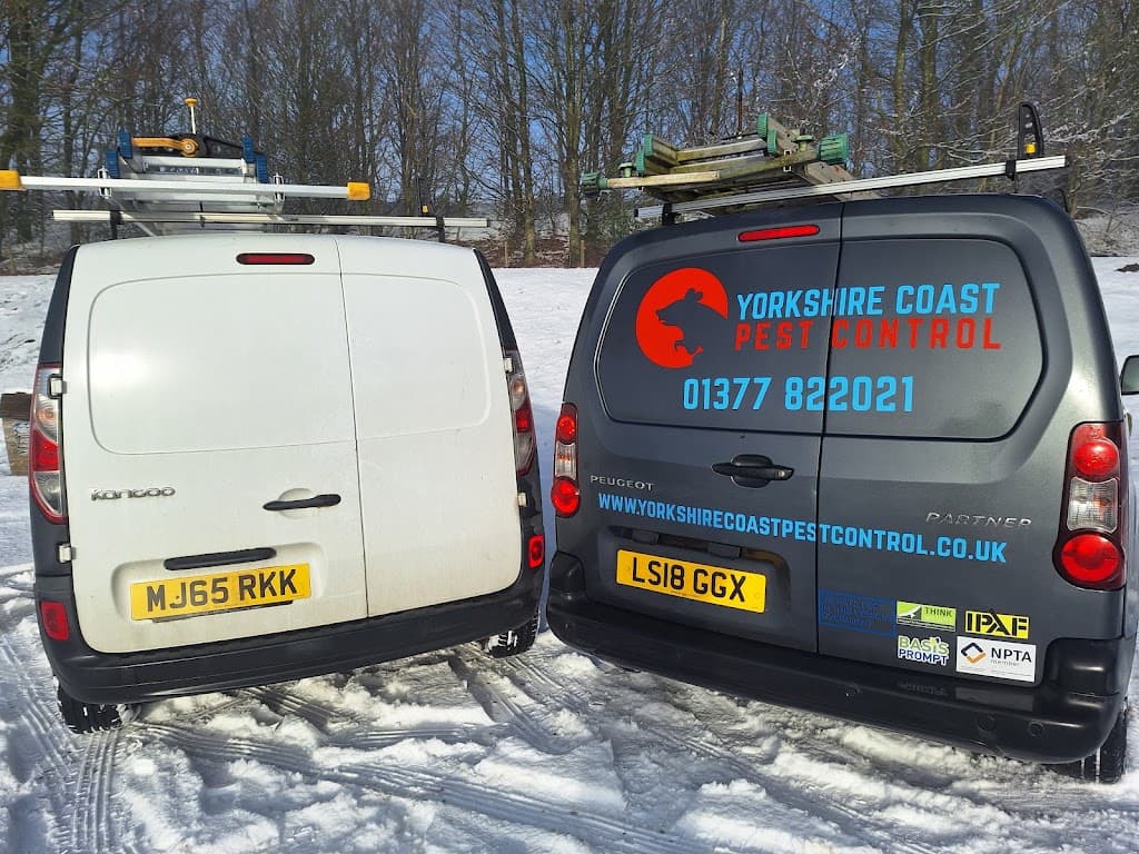 Yorkshire Coast Pest Control