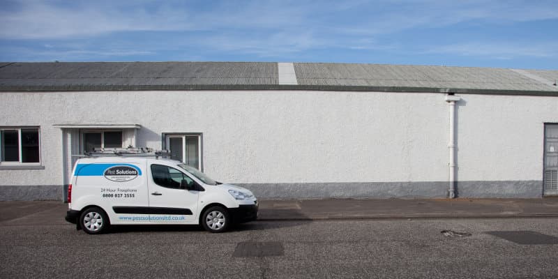Pest Solutions