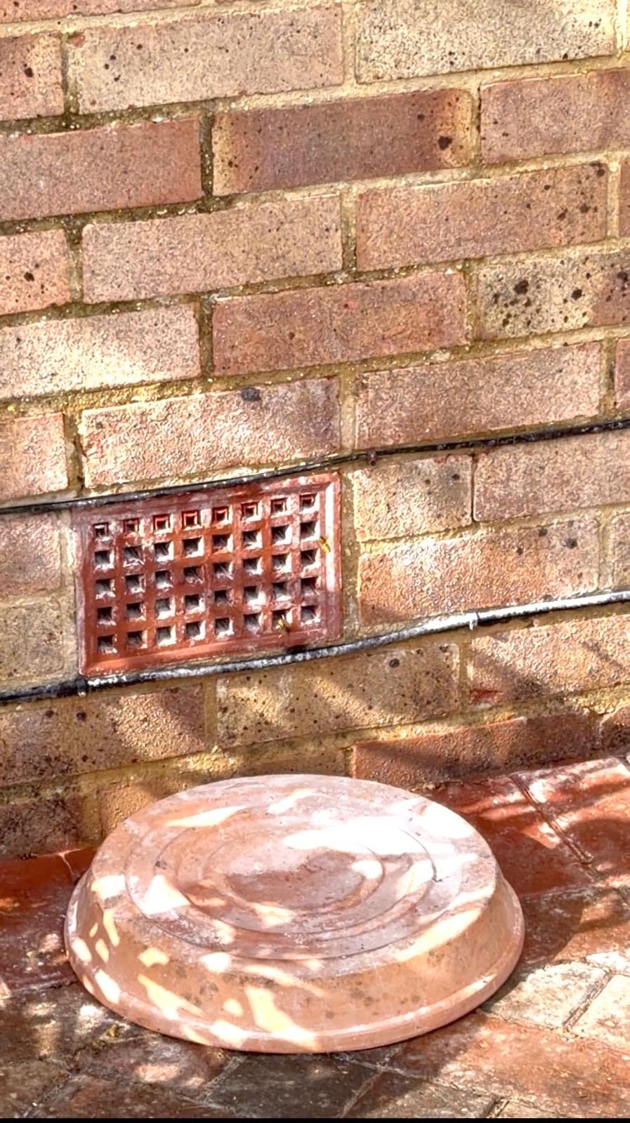 swindon pest controllers ltd