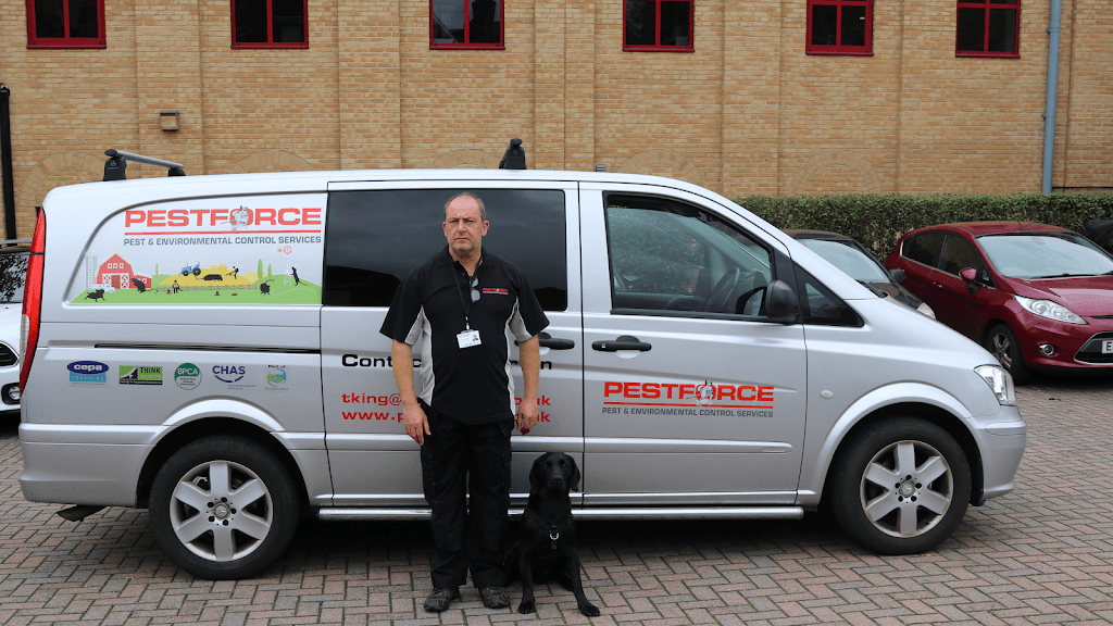 Pestforce Pest Control Buckingham