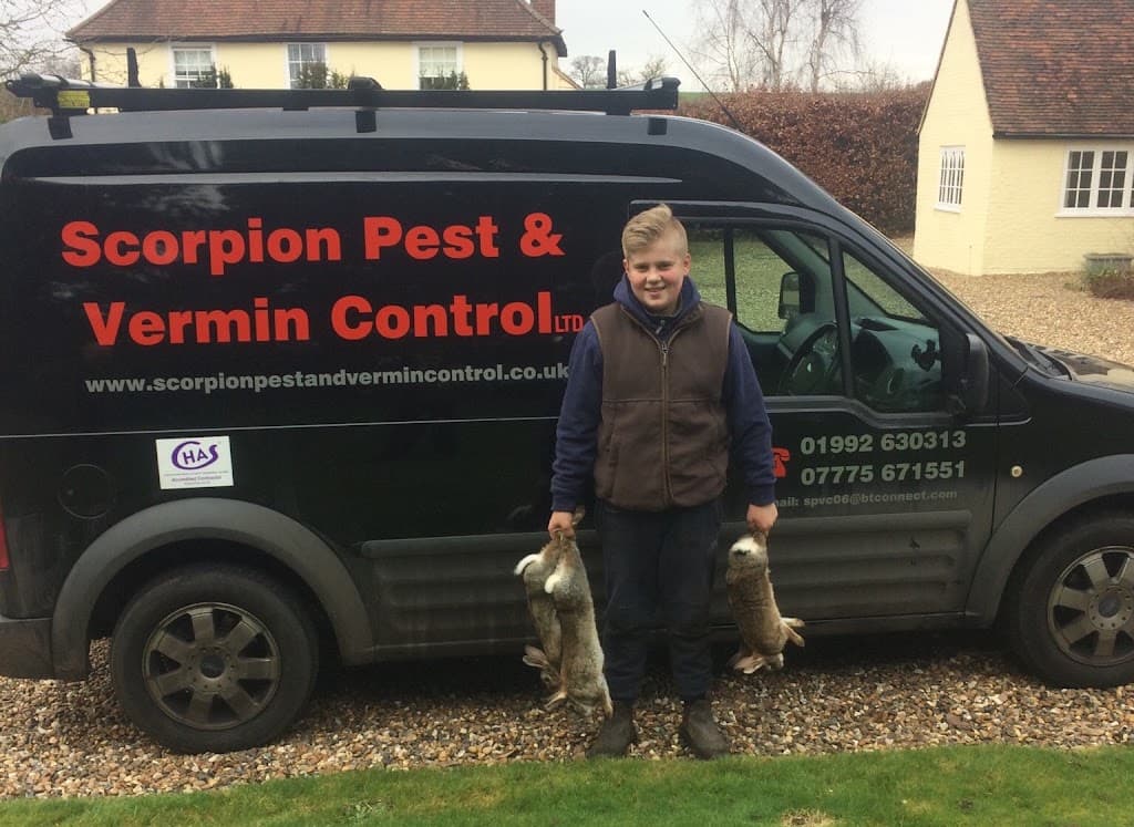 Scorpion Pest & Vermin Control Ltd