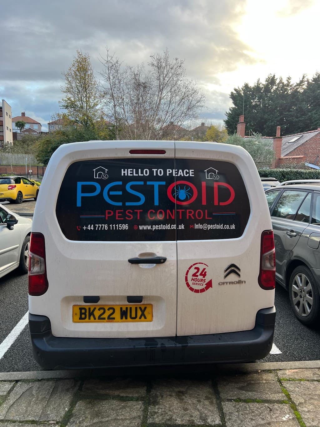 Pestoid
