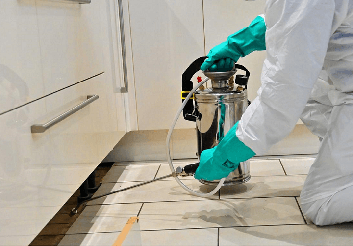 Elite Pest Control Glasgow