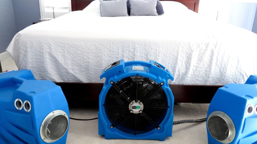 The Bed Bug Doctor
