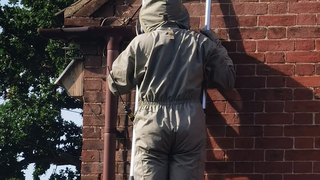 Control Pest Solution
