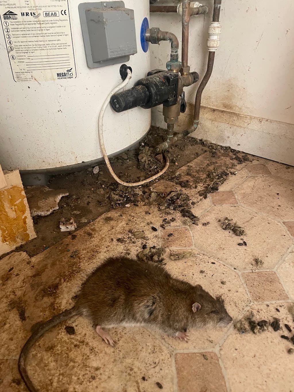 Eliminate Pest Control Banbury