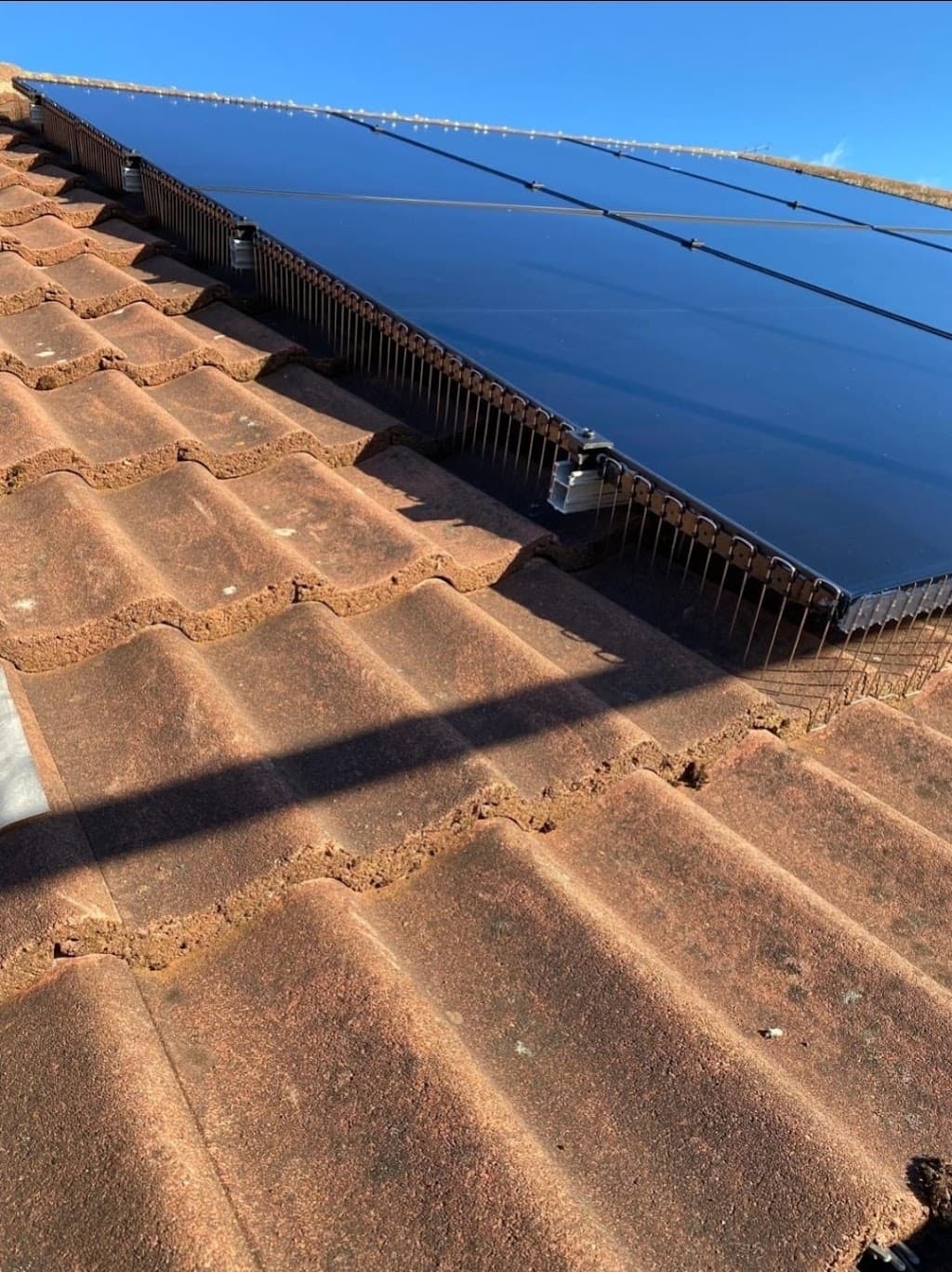 AB property services solar panel bird proofing