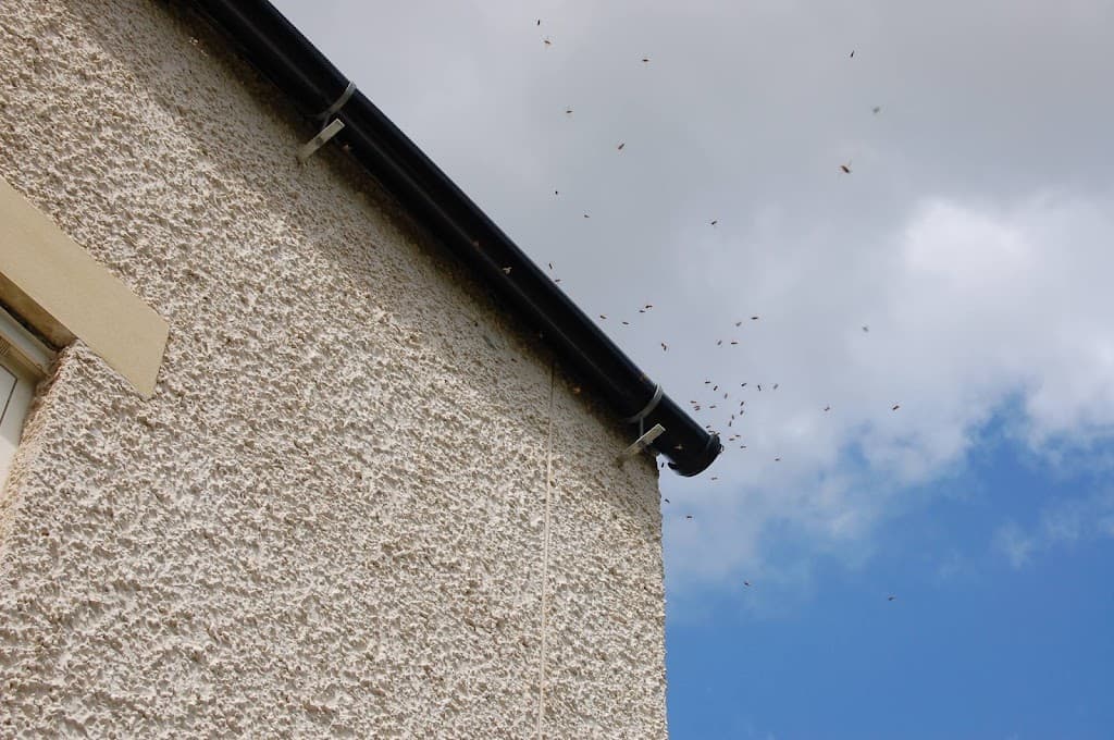 Vermtek Pest Control Ltd