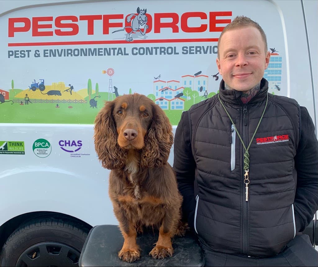 Pestforce Pest Control Ipswich | Suffolk