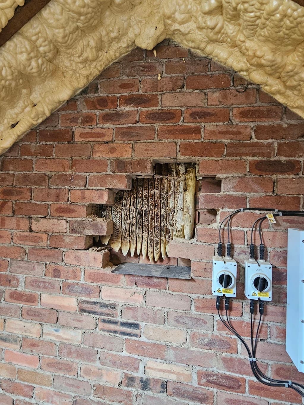 AJN Pest Solutions