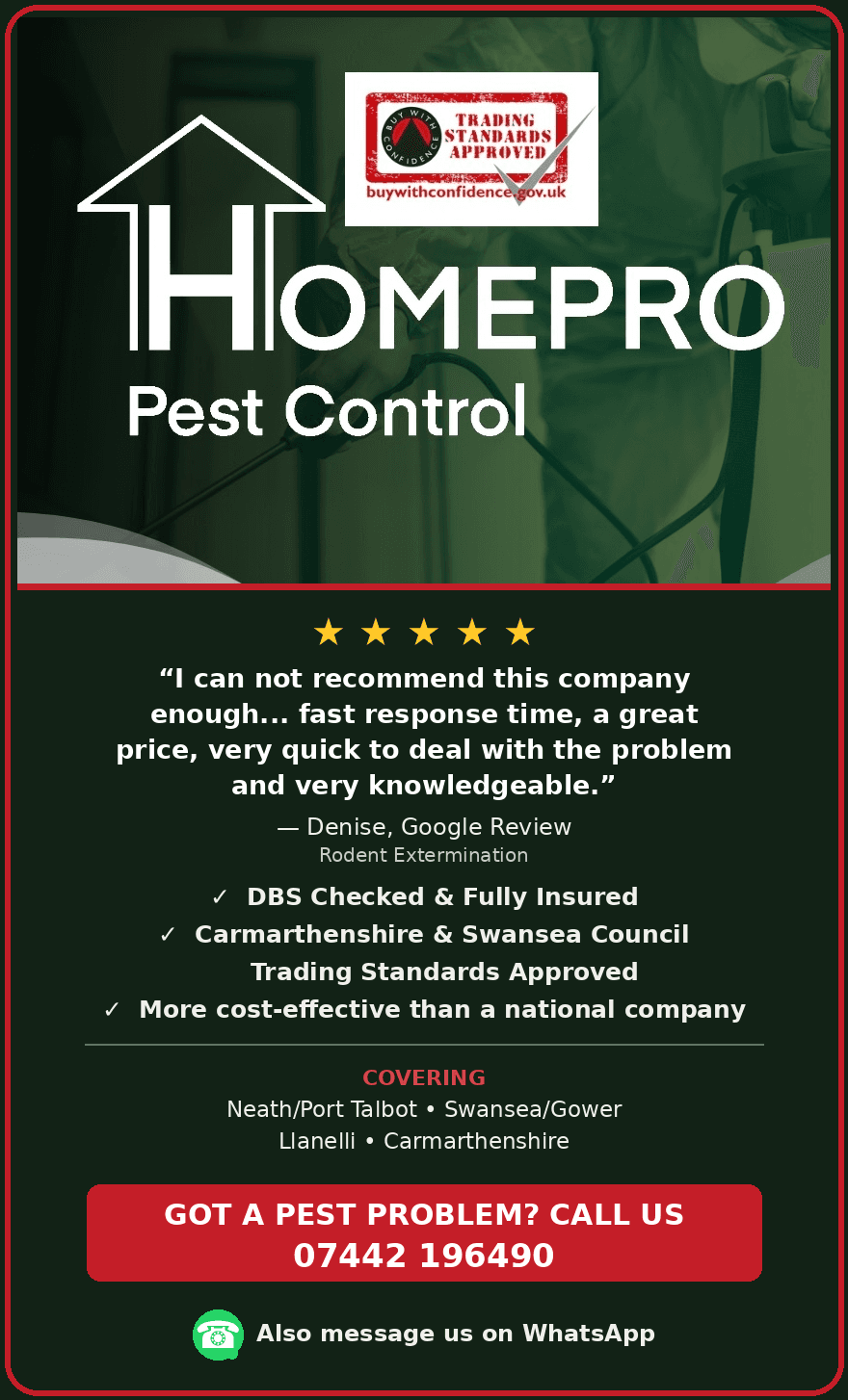 Homepro Pest Control
