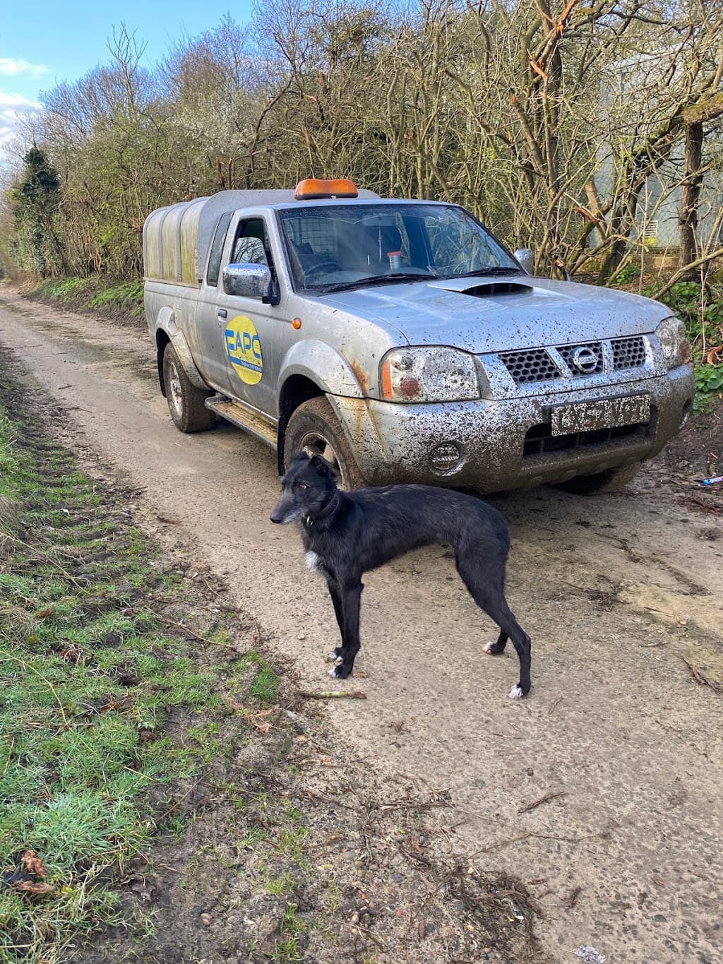 East Anglian Pest Control Ltd